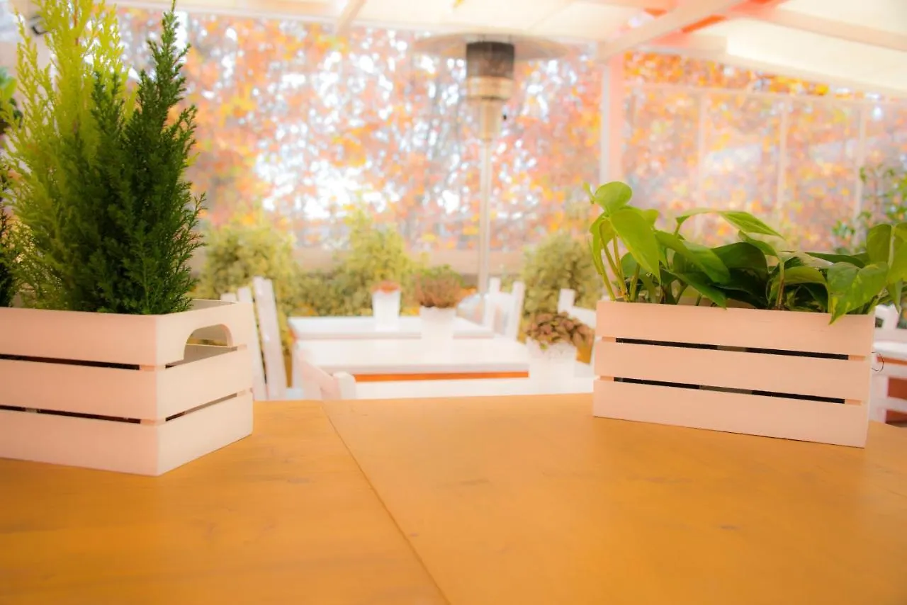Casa Martini Bed & Breakfast Roma