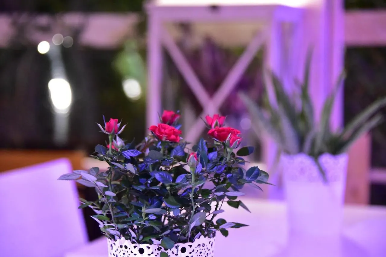 Casa Martini Bed & Breakfast Roma