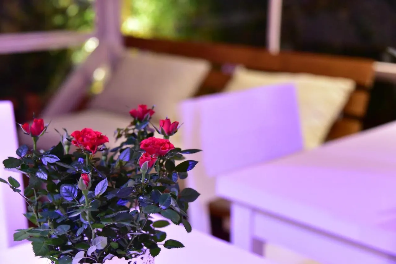 Casa Martini Bed & Breakfast Roma