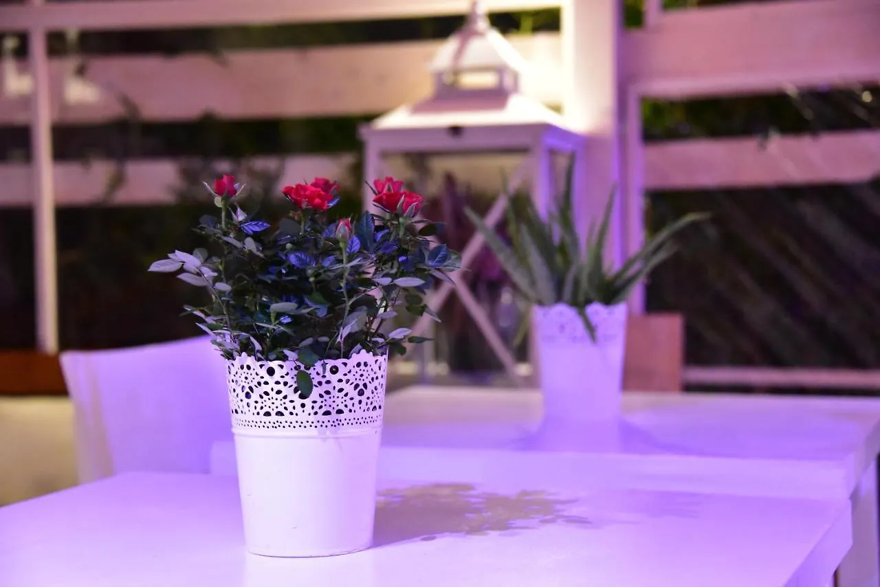 Casa Martini Bed & Breakfast Roma