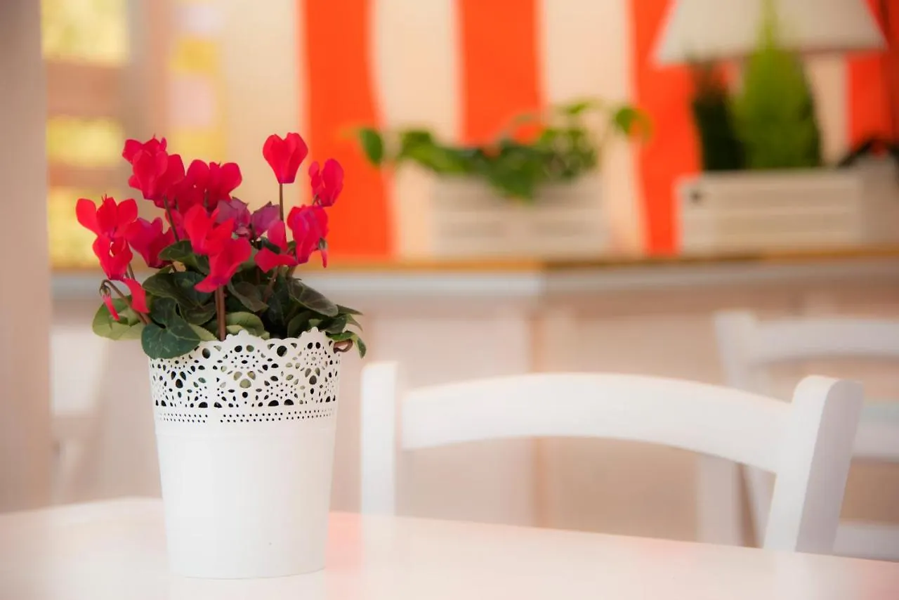 Casa Martini Bed & Breakfast Rome