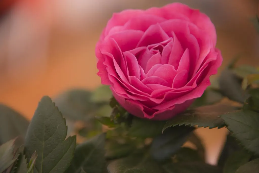 Casa Martini Bed and Breakfast Ρώμη