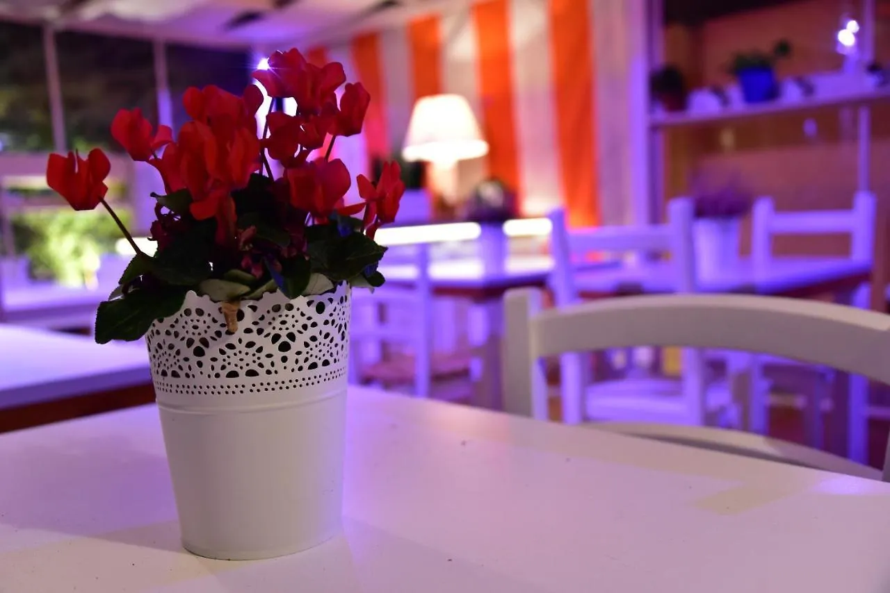Casa Martini Bed and Breakfast Ρώμη 2*,