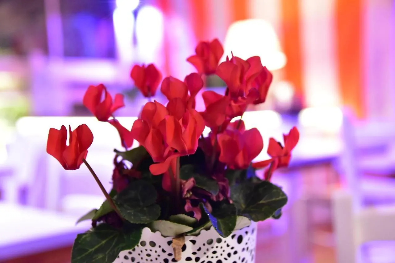 Casa Martini Bed and Breakfast Ρώμη